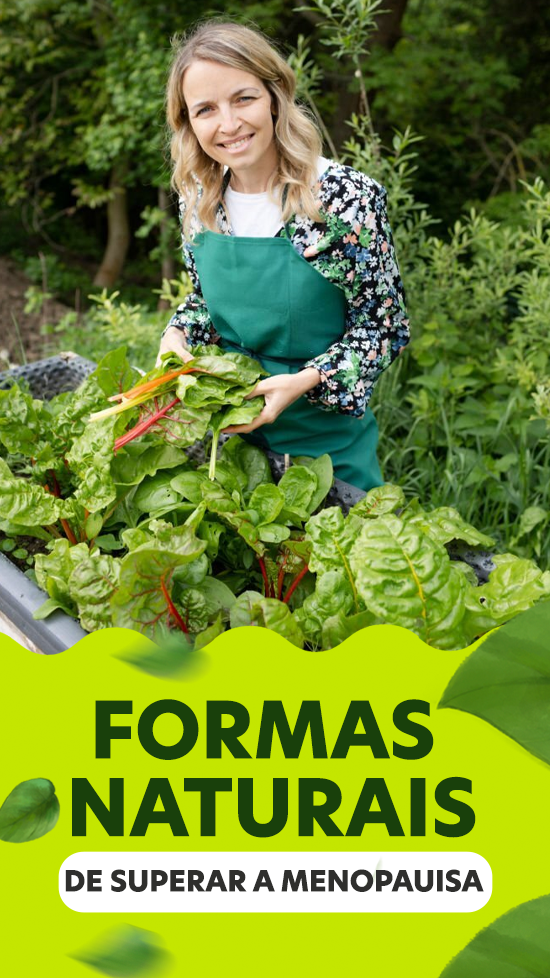 formas-naturais-menopausa